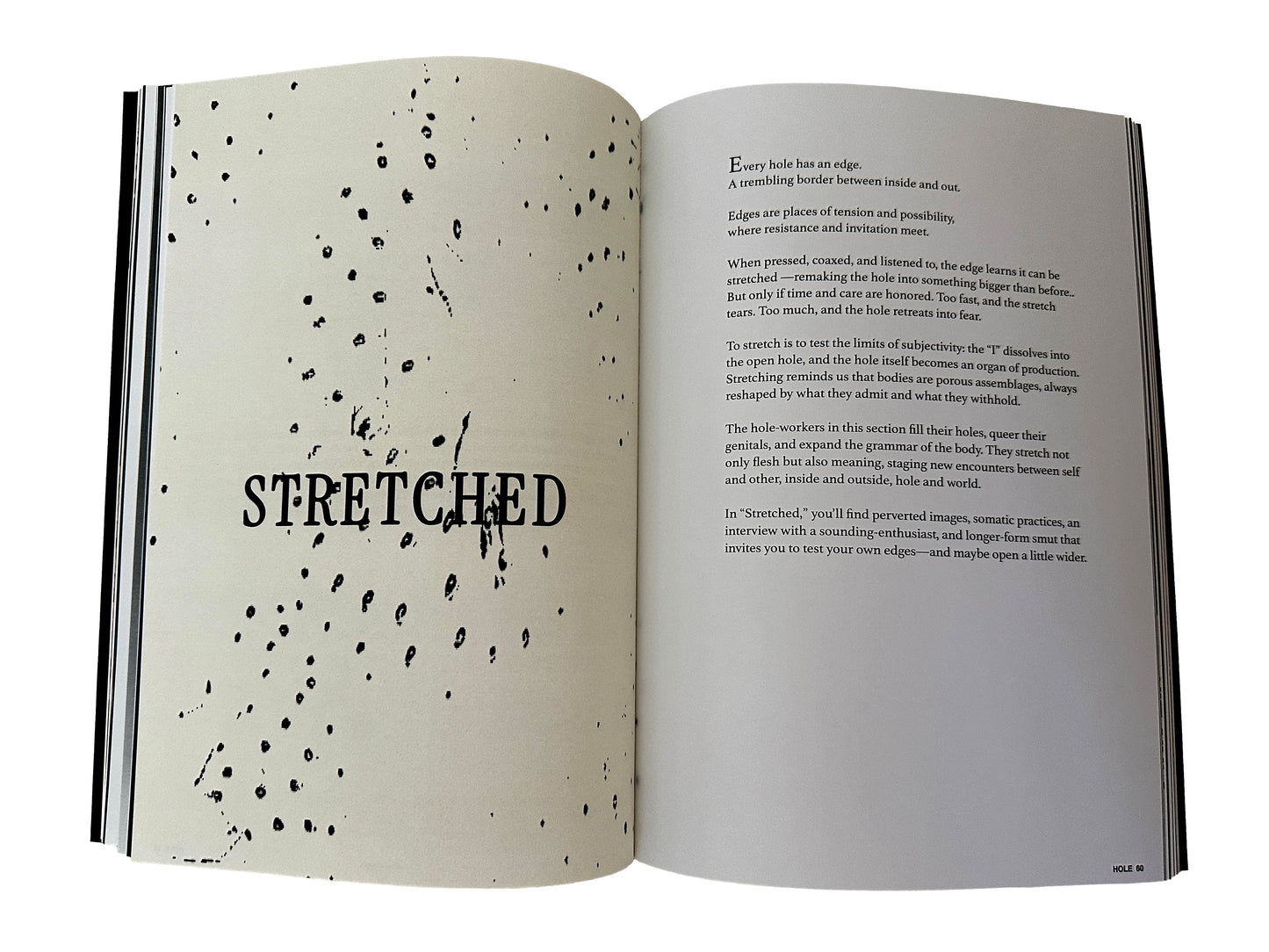 Eros Study: Hole, Issue 01 by Cy X